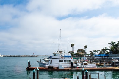 The ships of the dock
